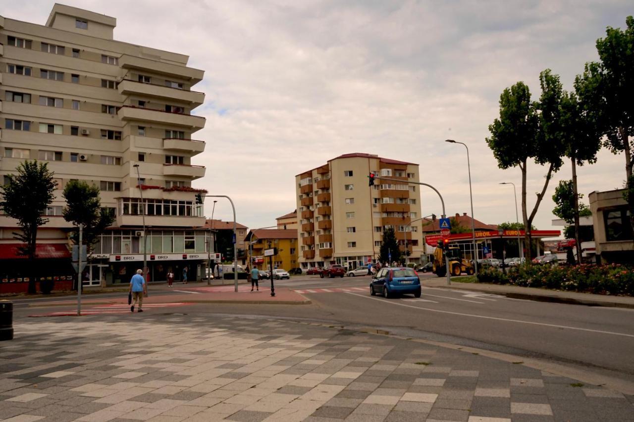 Apartament Viorela Alba Iulia Dış mekan fotoğraf